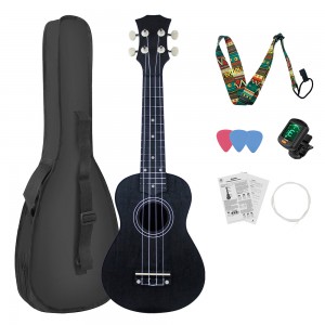 HUASHENG Wholesale Ukulele 21 Inch OEM ODM Musical Instrument Plastic Ukulele Soprano with Bag Picks Accessories