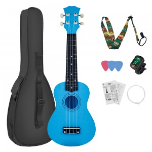 HUASHENG Wholesale Ukulele 21 Inch OEM ODM Musical Instrument Plastic Ukulele Soprano with Bag Picks Accessories