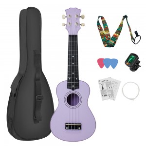 HUASHENG Wholesale Ukulele 21 Inch OEM ODM Musical Instrument Plastic Ukulele Soprano with Bag Picks Accessories