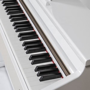 键盘乐器 88 键标准配重锤击式立式数码钢琴，适合初学者和演奏者