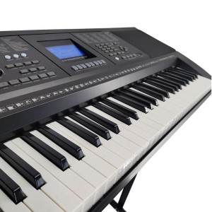 Brand Adult Size 61 Keys Touch Response Electronic Organ Musical Instrument With USB Port