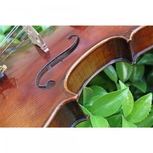 Wood Instrument Adult Professional Handmade Instruments Modern Spruce Maple Violin With Case 4/4