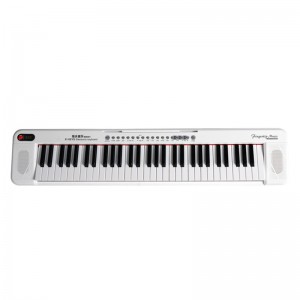 61 Keys Light-up Electric Organ Keyboard Instruments Teaching Function Digital Display Electric Piano Toys