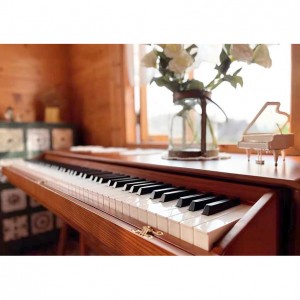 Wooden Professional Adult Examination Keyboards Kids Electric Digital Piano 88 keys Hammer-action Progressive Keyboard