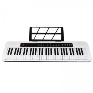 61 tasti Light-up Piano elettrico Ingresso audio Uscita Funzione di insegnamento Display digitale per principianti Tastiera per organo elettrico