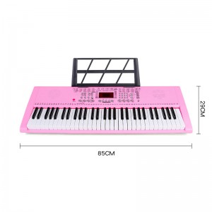 Electric Piano 61 Keys Dual Keyboard Hot Sale Digital Display Musical Instruments Power Style Electric Organ