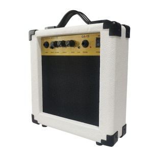 HUASHENG Professional Electric Acoustic Guitar Amplifier 220V 240V 50HZ OEM ODM Colors Fashion Guitar Amplifier