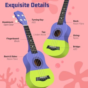 Hawaiian Ukulele Gift Set: 21-Inch Soprano Ukulele Beginner Kit with Cartoon Taheme, Mahogany Wood, Gig Bag, Shoulder Strap, and Fretboard Stickers for Kids and Adults