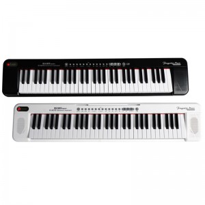 Kinderen Elektrisch Orgel 61 Toetsen Dual Keyboards Leerfunctie Beginners Muziekinstrumenten Elektrisch pianospeelgoed