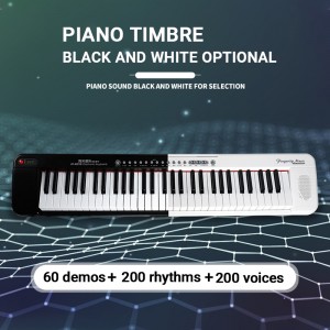 Kinder elektrische Orgel 61 Tasten Dual Keyboards Lehrfunktion Anfänger Musikinstrumente E-Piano Spielzeug