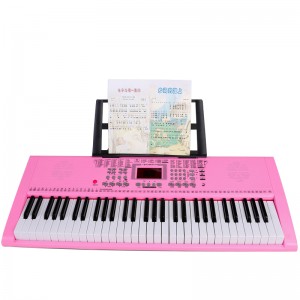 Pianoforte elettrico 61 tasti Doppia tastiera Vendita calda Display digitale Strumenti musicali Power Style Organo elettrico