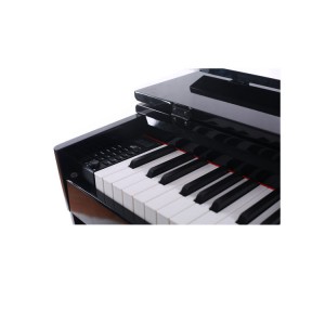 Hochwertiges 88-Tasten-gewichtetes Standard-Digitalpiano mit Hammermechanik, Tasteninstrumente, Digitalpiano