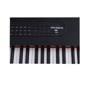 Hochwertiges E-Piano 88 Tasten Solid Wood Soundboard Materials 80 Demo-Songs Digital Piano Keyboard für Geschenke