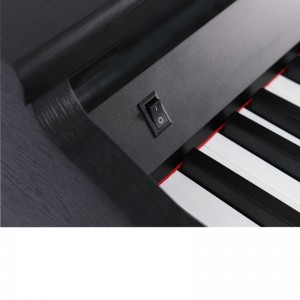 NUOVO arrivo Pianoforte digitale 88 tasti Materiali del corpo in legno massello di alta qualità Pianoforte digitale per bambini Junior in vendita