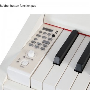 Heißer Verkauf Digitalpiano 88 gewichtete Tasten Hammermechanik Tasteninstrumente Aufrechtes Klavier mit LED-Leuchten